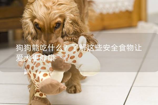 狗狗能吃什么？了解这些安全食物让爱犬更健康