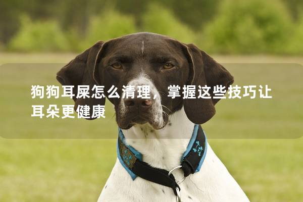 狗狗耳屎怎么清理，掌握这些技巧让耳朵更健康