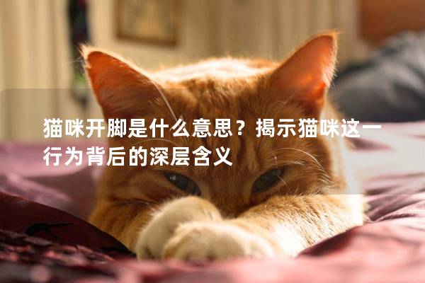 猫咪开脚是什么意思？揭示猫咪这一行为背后的深层含义