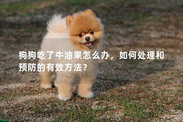 狗狗吃了牛油果怎么办，如何处理和预防的有效方法？