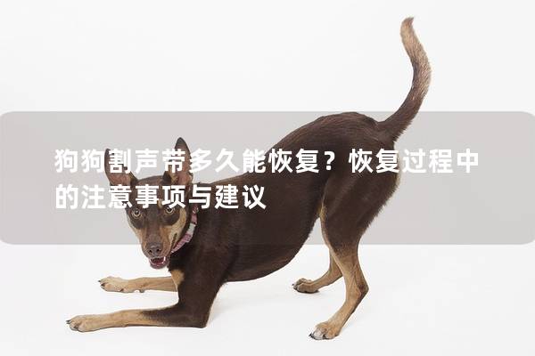 狗狗割声带多久能恢复？恢复过程中的注意事项与建议