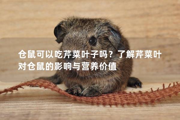 仓鼠可以吃芹菜叶子吗？了解芹菜叶对仓鼠的影响与营养价值