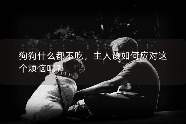 狗狗什么都不吃，主人该如何应对这个烦恼呢？