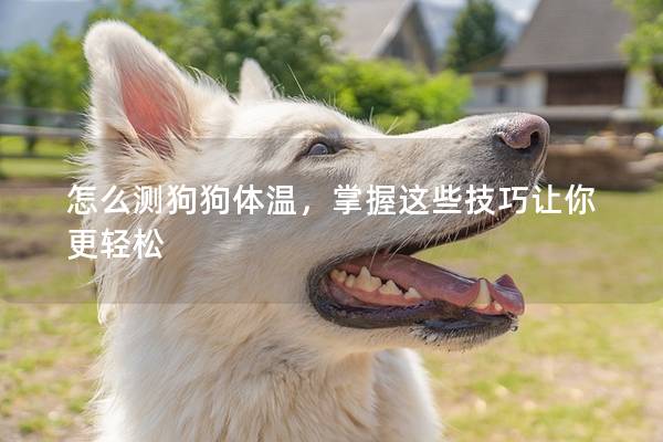 怎么测狗狗体温，掌握这些技巧让你更轻松