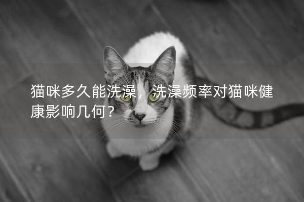 猫咪多久能洗澡，洗澡频率对猫咪健康影响几何？