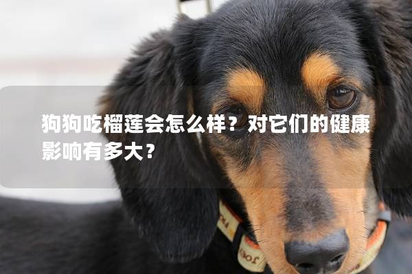 狗狗吃榴莲会怎么样？对它们的健康影响有多大？