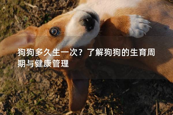 狗狗多久生一次？了解狗狗的生育周期与健康管理