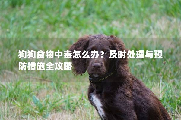 狗狗食物中毒怎么办？及时处理与预防措施全攻略
