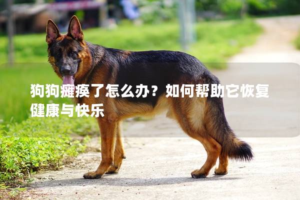 狗狗瘫痪了怎么办？如何帮助它恢复健康与快乐