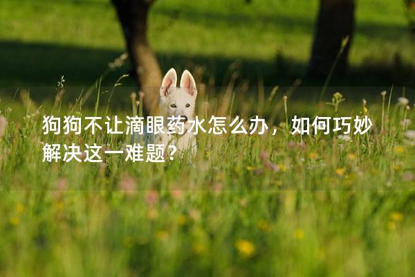 狗狗不让滴眼药水怎么办，如何巧妙解决这一难题？