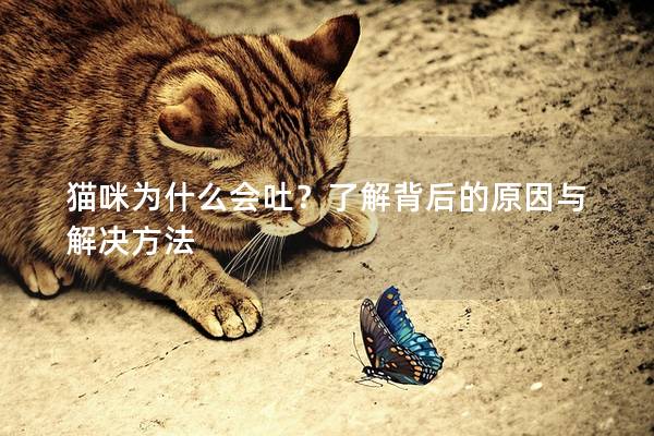 猫咪为什么会吐？了解背后的原因与解决方法