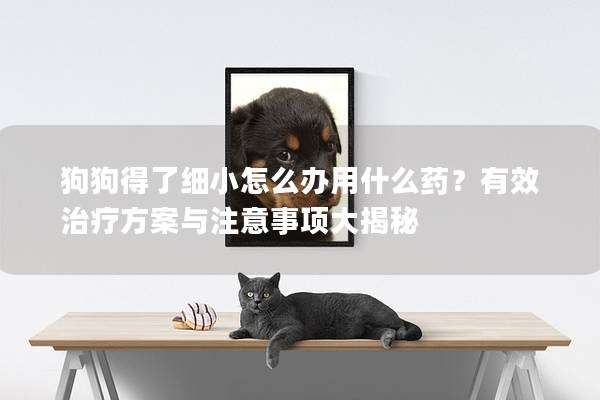 狗狗得了细小怎么办用什么药？有效治疗方案与注意事项大揭秘