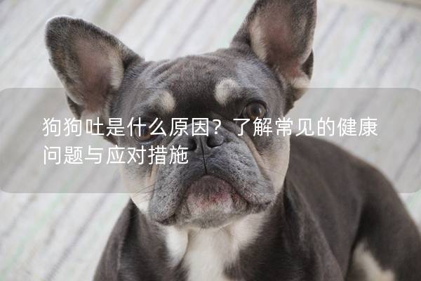 狗狗吐是什么原因?了解常见的健康问题与应对措施 狗狗吐是什么原因?了解常见的健康问题与应对措施