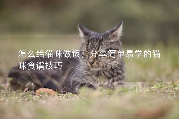 怎么给猫咪做饭，分享简单易学的猫咪食谱技巧