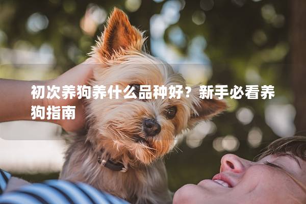 初次养狗养什么品种好?新手必看养狗指南 初次养狗养什么品种好?新手必看养狗指南
