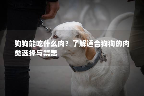 狗狗能吃什么肉？了解适合狗狗的肉类选择与禁忌