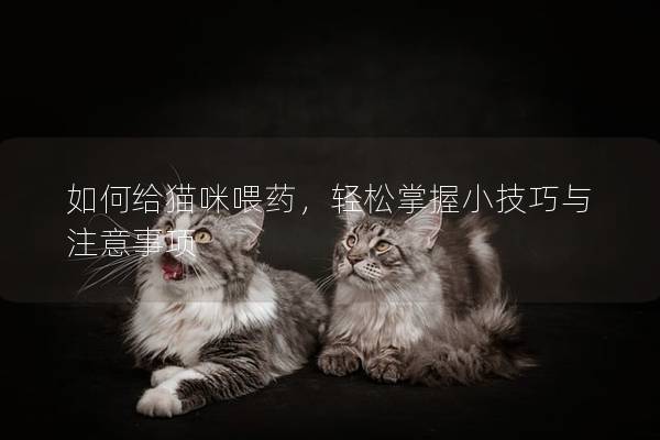 如何给猫咪喂药，轻松掌握小技巧与注意事项