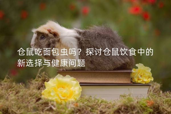 仓鼠吃面包虫吗？探讨仓鼠饮食中的新选择与健康问题
