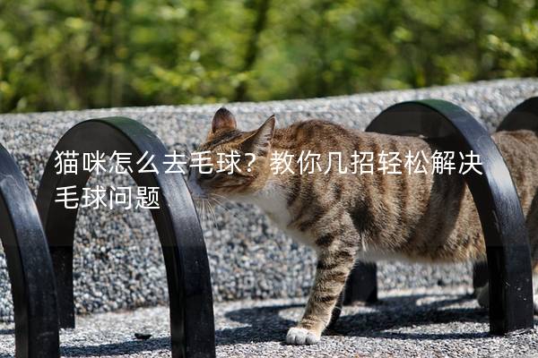 猫咪怎么去毛球?教你几招轻松解决毛球问题 猫咪怎么去毛球?教你几招轻松解决毛球问题