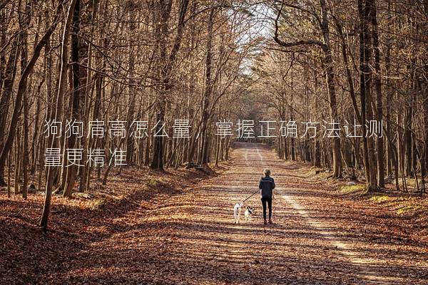 狗狗肩高怎么量，掌握正确方法让测量更精准
