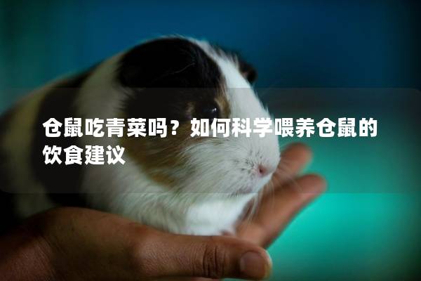 仓鼠吃青菜吗?如何科学喂养仓鼠的饮食建议 仓鼠吃青菜吗?如何科学喂养仓鼠的饮食建议
