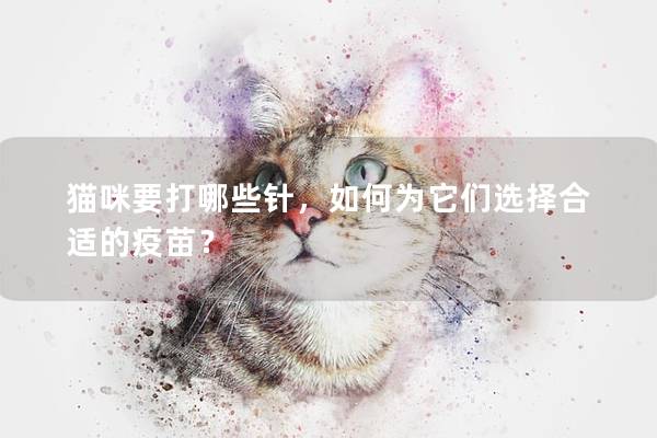 猫咪要打哪些针，如何为它们选择合适的疫苗？