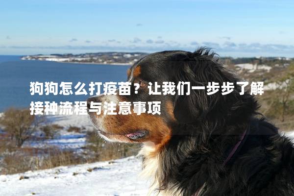 狗狗怎么打疫苗?让我们一步步了解接种流程与注意事项 狗狗怎么打疫苗?让我们一步步了解接种流程与注意事项