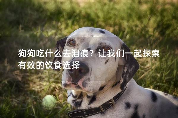 狗狗吃什么去泪痕?让我们一起探索有效的饮食选择 狗狗吃什么去泪痕?让我们一起探索有效的饮食选择