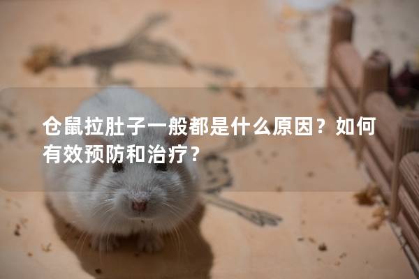 仓鼠拉肚子一般都是什么原因？如何有效预防和治疗？