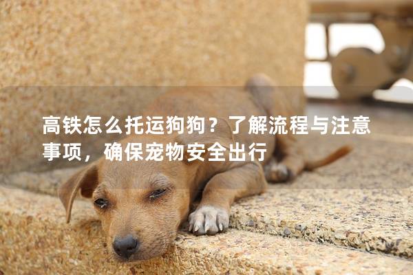 高铁怎么托运狗狗？了解流程与注意事项，确保宠物安全出行