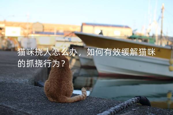 猫咪挠人怎么办，如何有效缓解猫咪的抓挠行为？