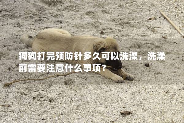 狗狗打完预防针多久可以洗澡，洗澡前需要注意什么事项？