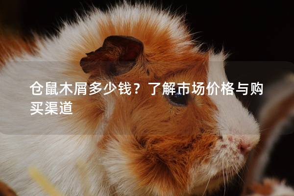 仓鼠木屑多少钱？了解市场价格与购买渠道