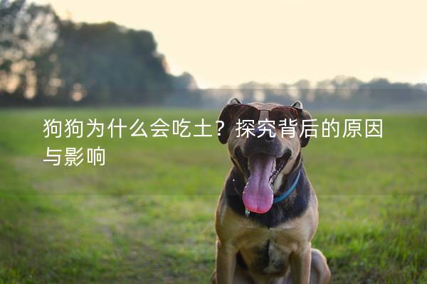 狗狗为什么会吃土？探究背后的原因与影响