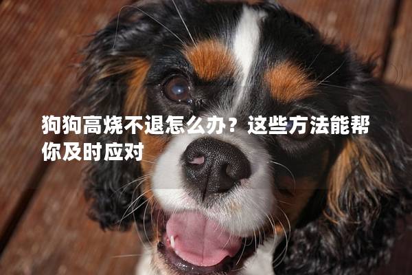 狗狗高烧不退怎么办？这些方法能帮你及时应对