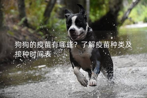 狗狗的疫苗有哪些?了解疫苗种类及接种时间表 狗狗的疫苗有哪些?了解疫苗种类及接种时间表
