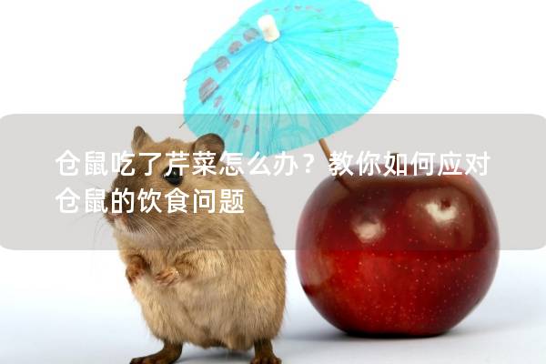 仓鼠吃了芹菜怎么办？教你如何应对仓鼠的饮食问题