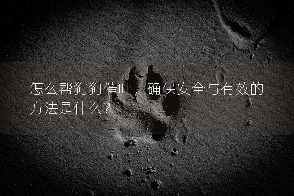 怎么帮狗狗催吐，确保安全与有效的方法是什么？