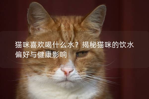 猫咪喜欢喝什么水？揭秘猫咪的饮水偏好与健康影响