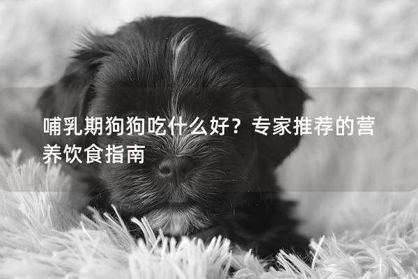哺乳期狗狗吃什么好？专家推荐的营养饮食指南