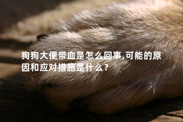 狗狗大便带血是怎么回事,可能的原因和应对措施是什么？