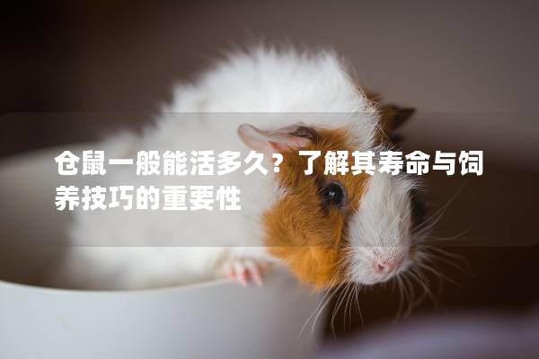 仓鼠一般能活多久？了解其寿命与饲养技巧的重要性