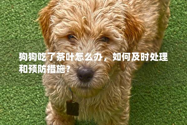 狗狗吃了茶叶怎么办，如何及时处理和预防措施？