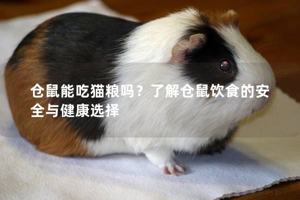仓鼠能吃猫粮吗？了解仓鼠饮食的安全与健康选择