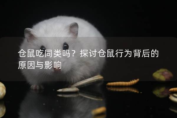 仓鼠吃同类吗?探讨仓鼠行为背后的原因与影响 仓鼠吃同类吗?探讨仓鼠行为背后的原因与影响