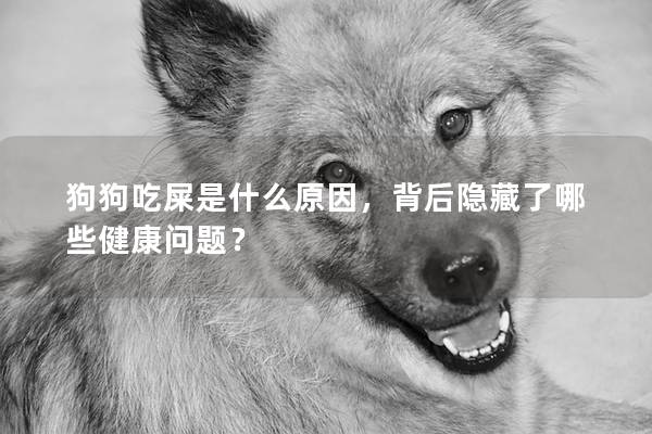 狗狗吃屎是什么原因，背后隐藏了哪些健康问题？
