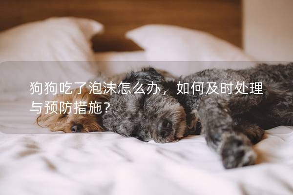 狗狗吃了泡沫怎么办，如何及时处理与预防措施？