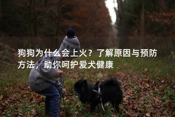 狗狗为什么会上火？了解原因与预防方法，助你呵护爱犬健康