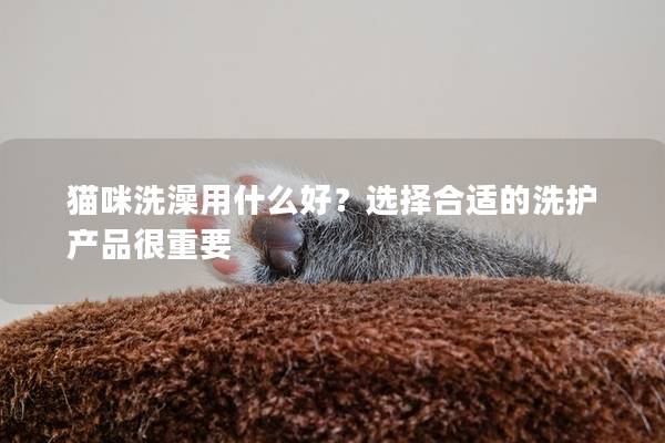 猫咪洗澡用什么好？选择合适的洗护产品很重要