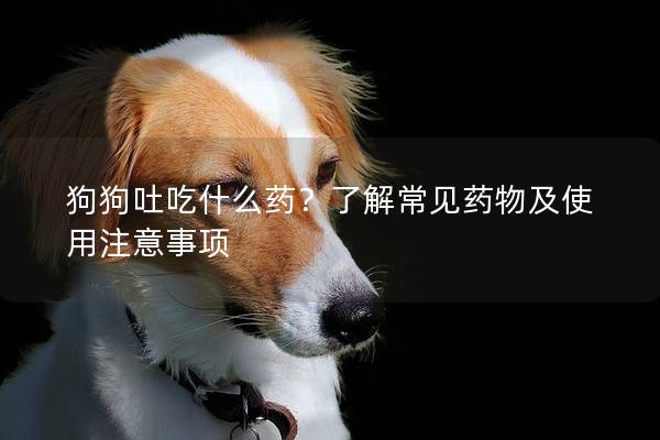 狗狗吐吃什么药?了解常见药物及使用注意事项 狗狗吐吃什么药?了解常见药物及使用注意事项